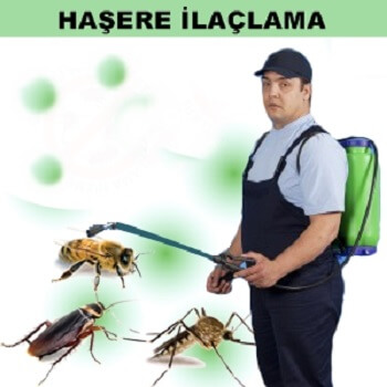 Doğubayazıt Böcek İlaçlama